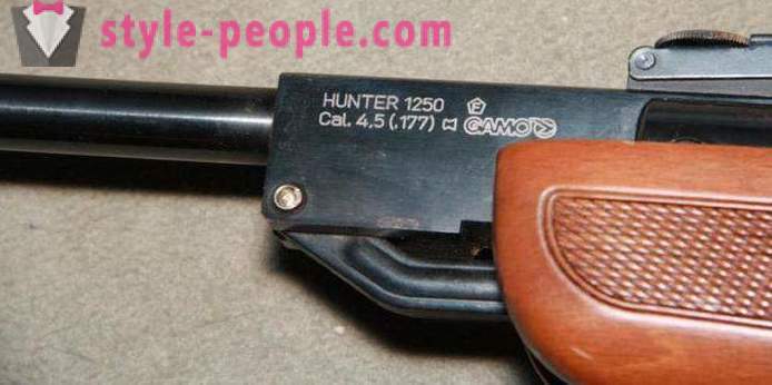 Légpuska Gamo Hunter 1250: áttekintés, funkciók és vélemények