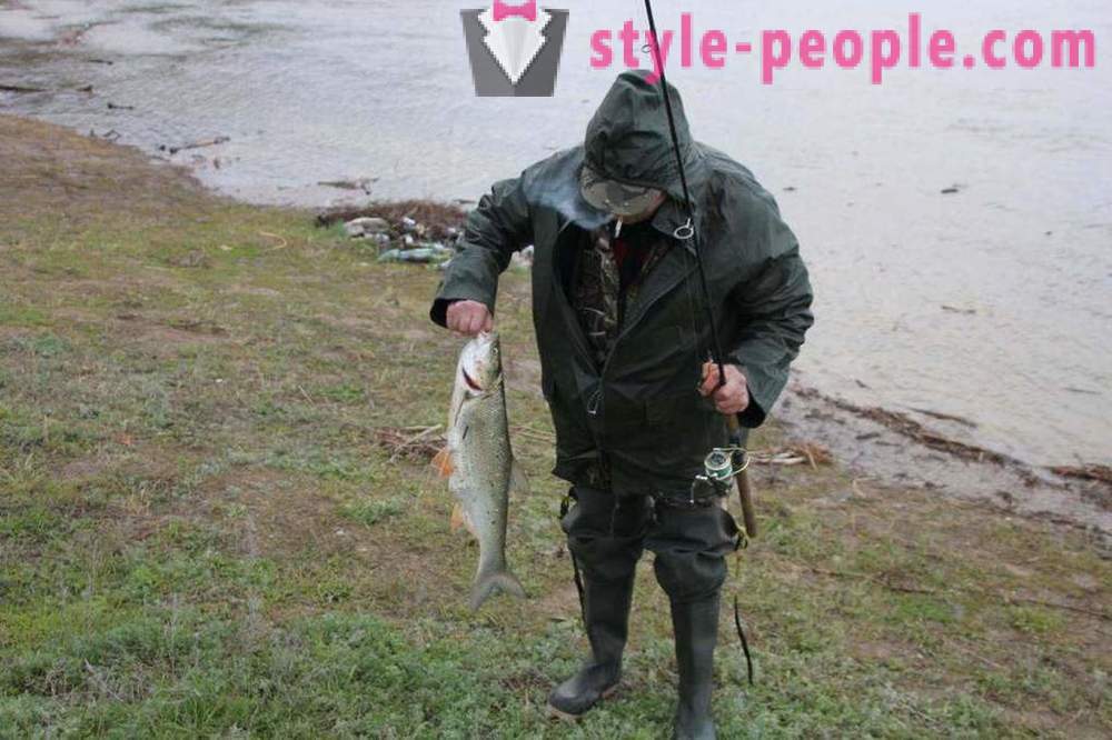 Horgászat Szaratov a Volga: képek és vélemények