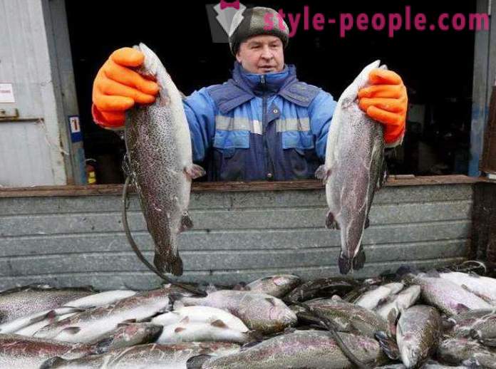 Horgászat Khakassia tippek horgászok
