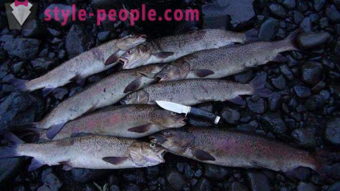 Horgászat Khakassia tippek horgászok