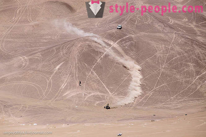 Dakar 2014 Veszélyes faj a chilei sivatagban