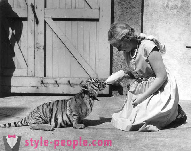Szokatlan vintage fotók az állatok