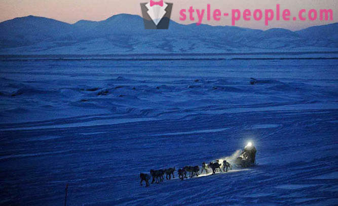 Kutyaszán verseny 2012 Iditarod