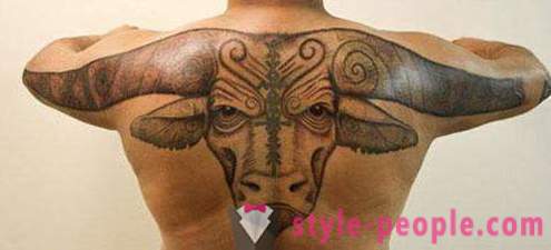 Tattoo „Bull” - értéke a rajz a testen