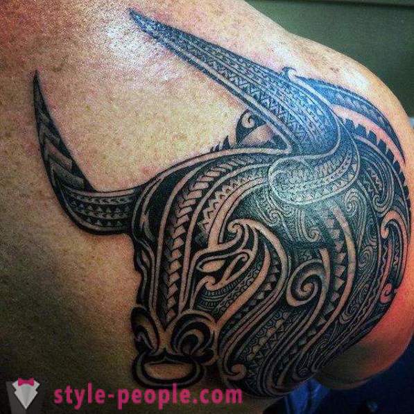 Tattoo „Bull” - értéke a rajz a testen