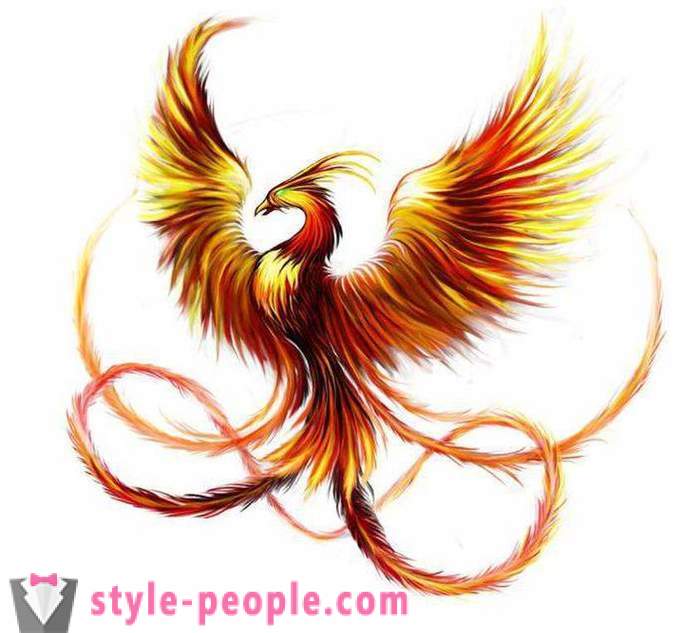 Phoenix Tattoo: vázlatok és opciók
