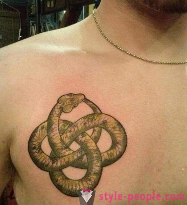 Jelentése tattoo „kígyó”: az ősi legendák és modern koncepciók