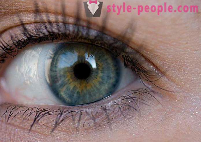 Swamp szem színét. Mi határozza meg a színt az emberi szem?