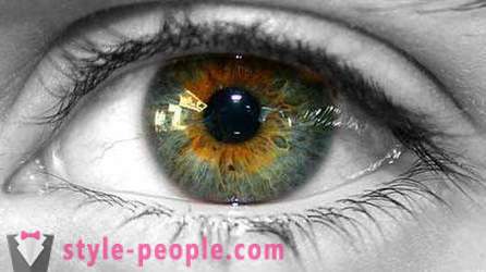 Swamp szem színét. Mi határozza meg a színt az emberi szem?