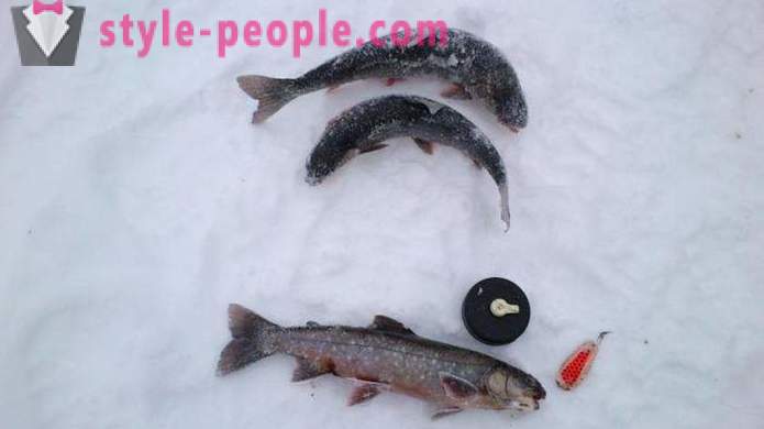 A halászokat, vegye figyelembe: pisztráng horgászat télen