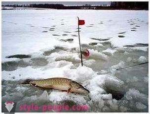 Pike halászat zherlitsy télen. Pike horgászat a téli pergetett