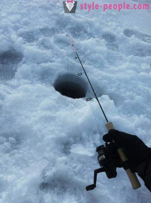 Menyhal halászat a tél zherlitsy. Elkapta menyhal télen pergetett