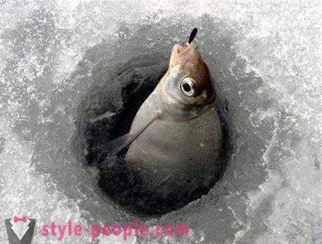 Dévér télen: a csínját-bínját a kezdő halászok